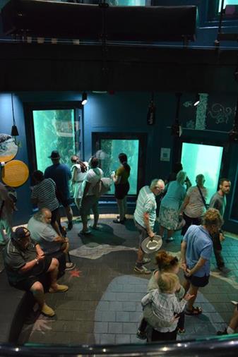 Underwater observatory Busselton